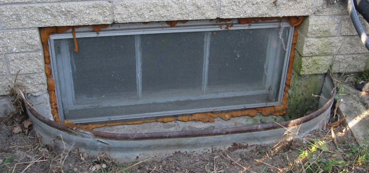 basement-window-well-inspeciton