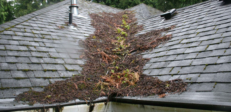 ottawa roof inspection