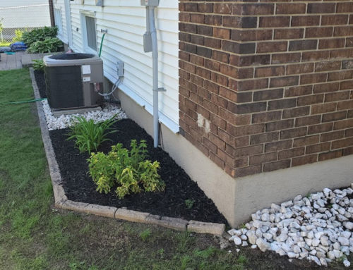 5 Examples of Low-Maintenance Foundation Landscaping